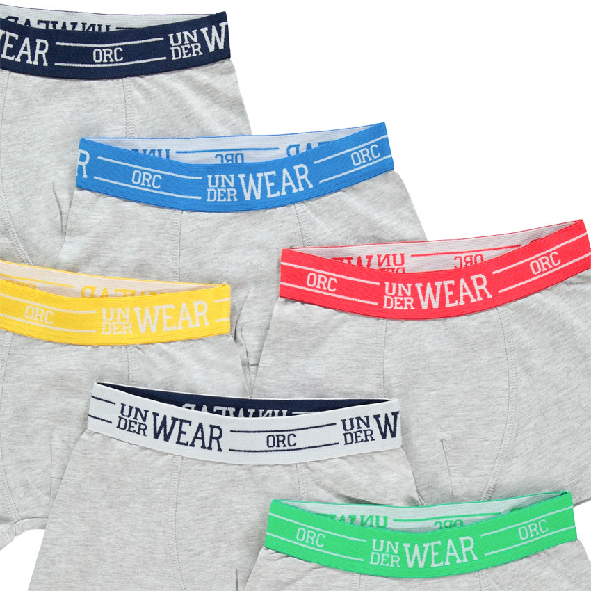 Σετ από 6 boxers με μέση με λάστιχο σε άλλο χρώμα 