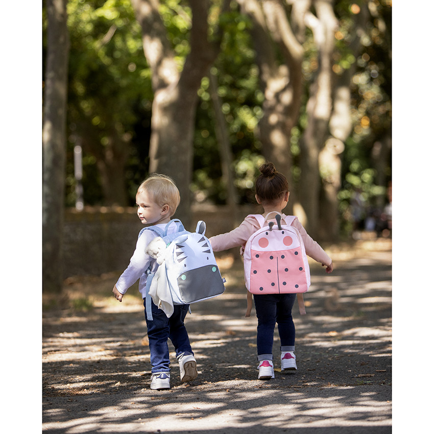 Ισοθερμικό σακίδιo Zebra 