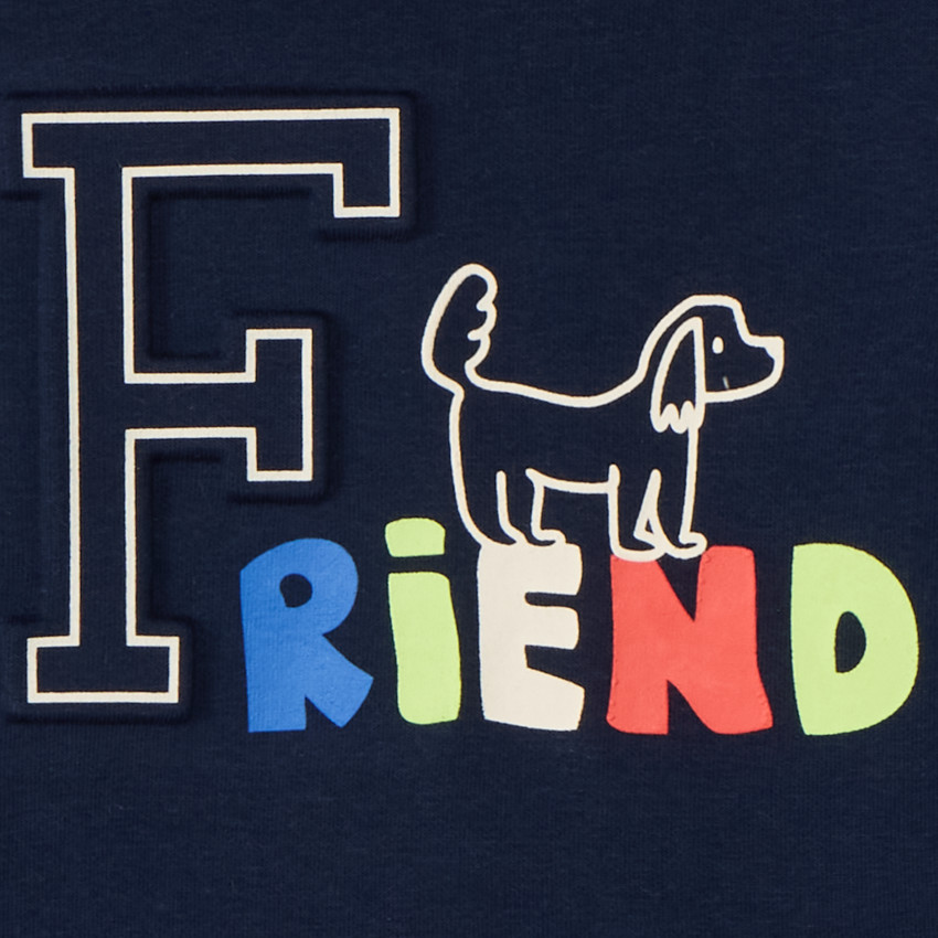 Φούτερ molleton με ανάγλυφο σχέδιο για bebe αγόρι 