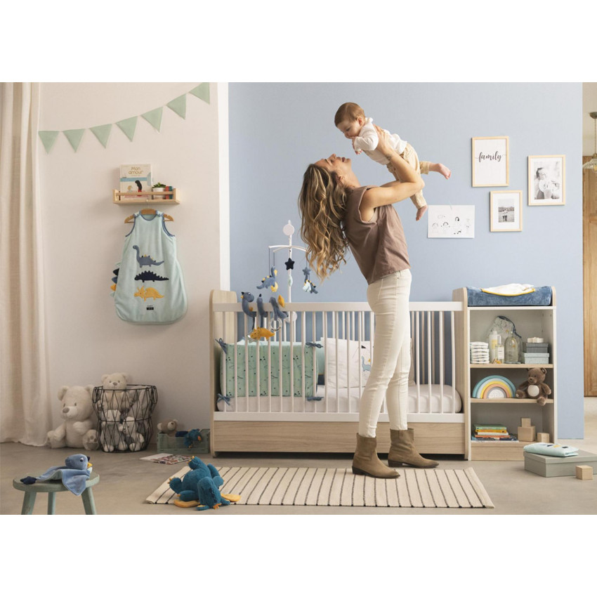 Σπειροειδής δραστηριότητας από πολυεστέρα - Οι φίλοι μου οι δεινόσαυροι 