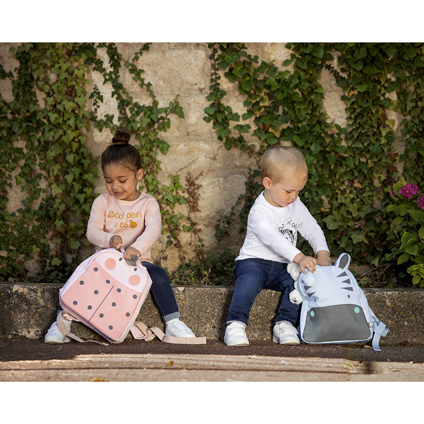 Ισοθερμικό σακίδιo Zebra 