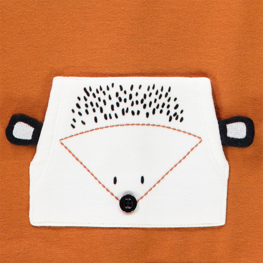 Σύνολο από πλεκτό με σχέδιο σκαντζόχοιροι για μωρό αγόρι 