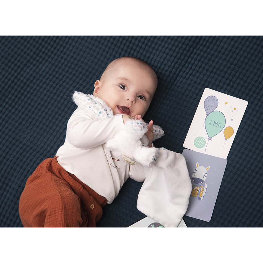 Κάρτες φωτογραφίας γέννησης μωρού αγόρι x28 