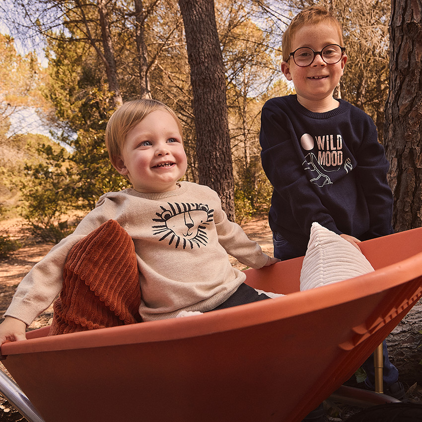 Πλεκτό πουλόβερ με σχέδιο λιοντάρι για μωρό αγόρι 