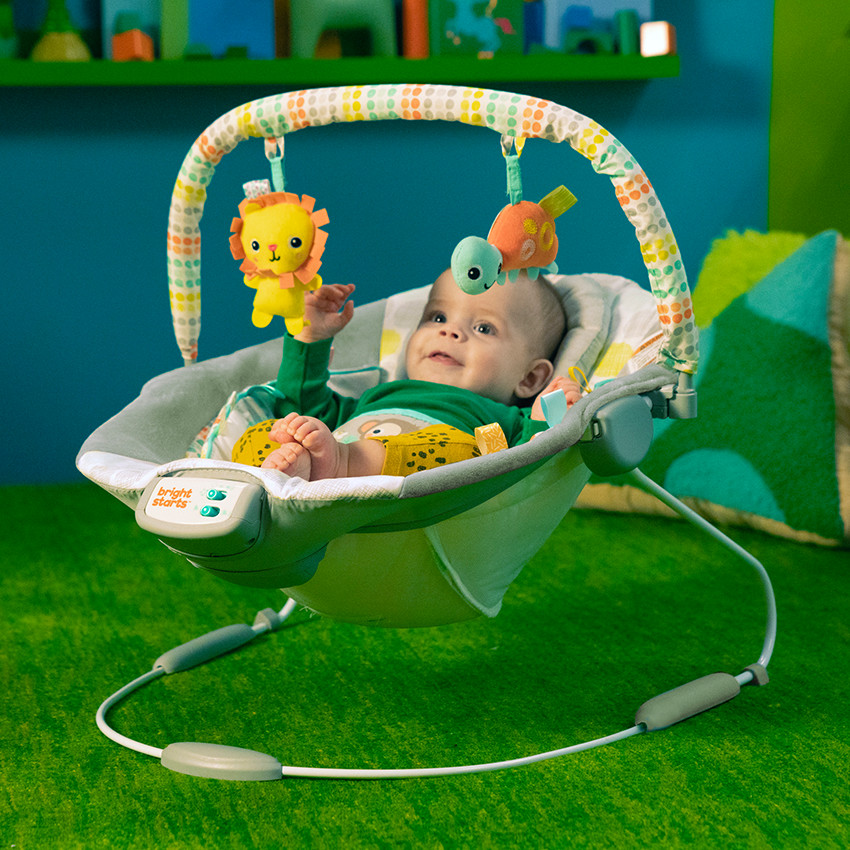  Άνετο Ριλάξ Bright Starts Whimsical Wild 