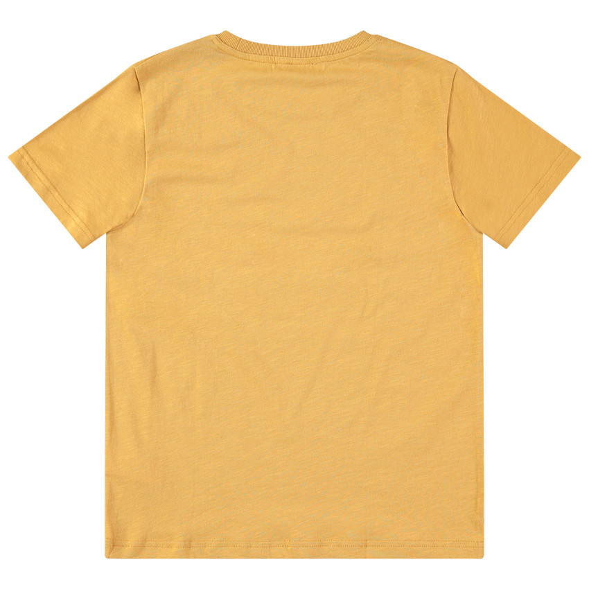 Παιδικά - Κοντομάνικη κίτρινη ζέρσεϊ μπλούζα με τυπωμένο μήνυμα 