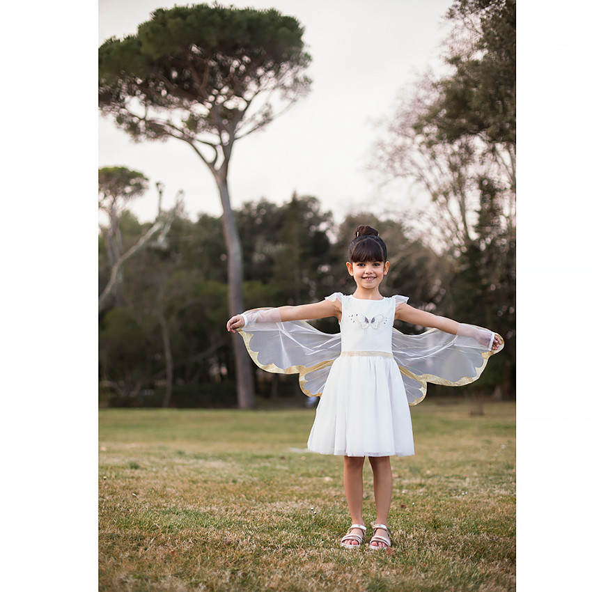 Robe de cérémonie en tulle + ailes de papillon pour fille 