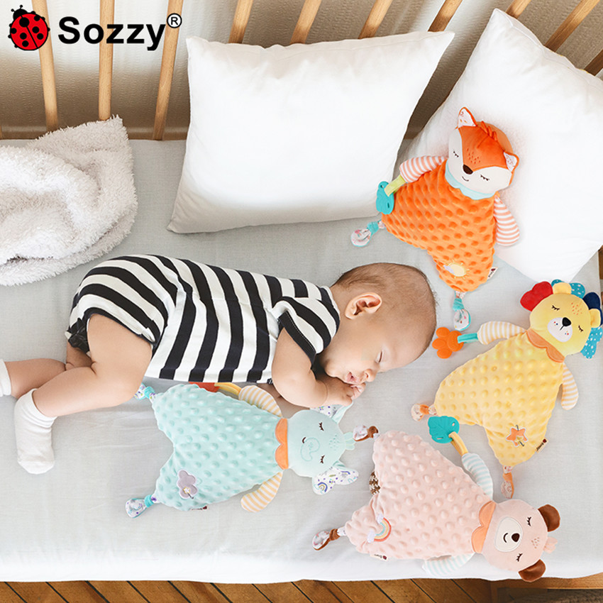 Πανάκι Παρηγοριάς Αλεπού 