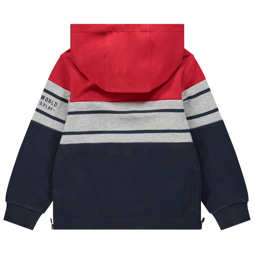 Φούτερ με κουκούλα molleton με σχέδιο και μήνυμα SmileyWorld για αγόρι 