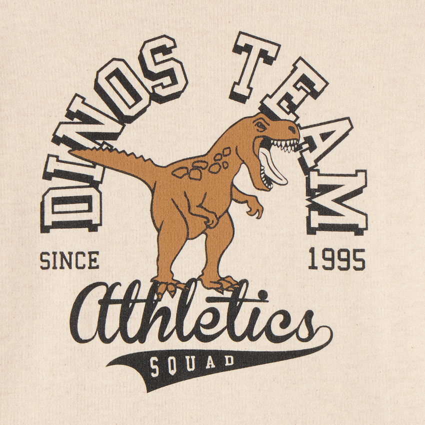 T-shirt à manches longues oversize garçon avec motif dinosaure 