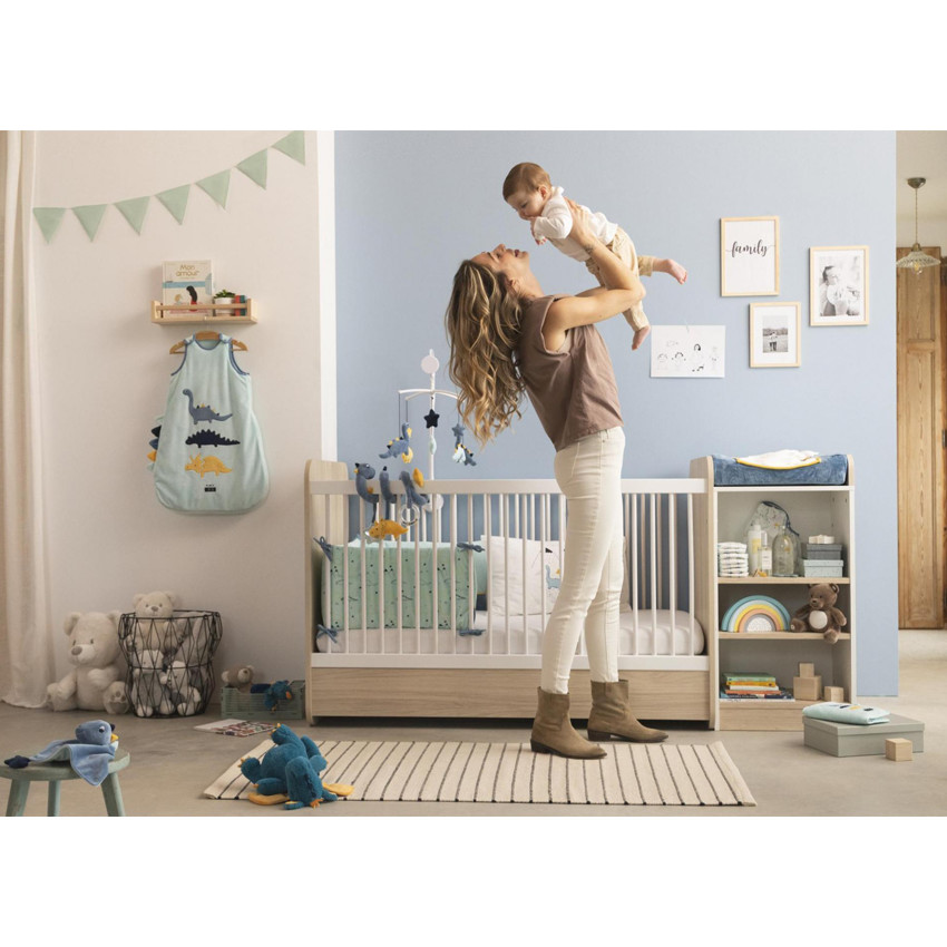 Μαλακός δεινόσαυρος 