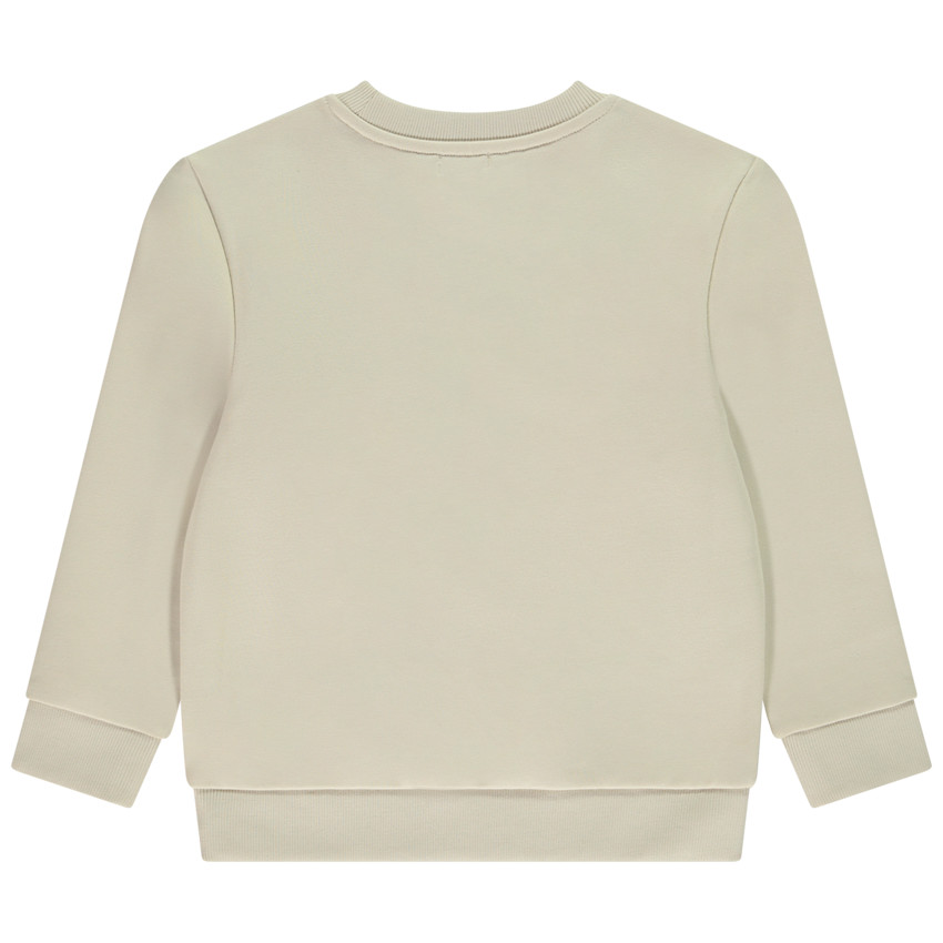 Φούτερ molleton print φαντεζί για αγόρι 