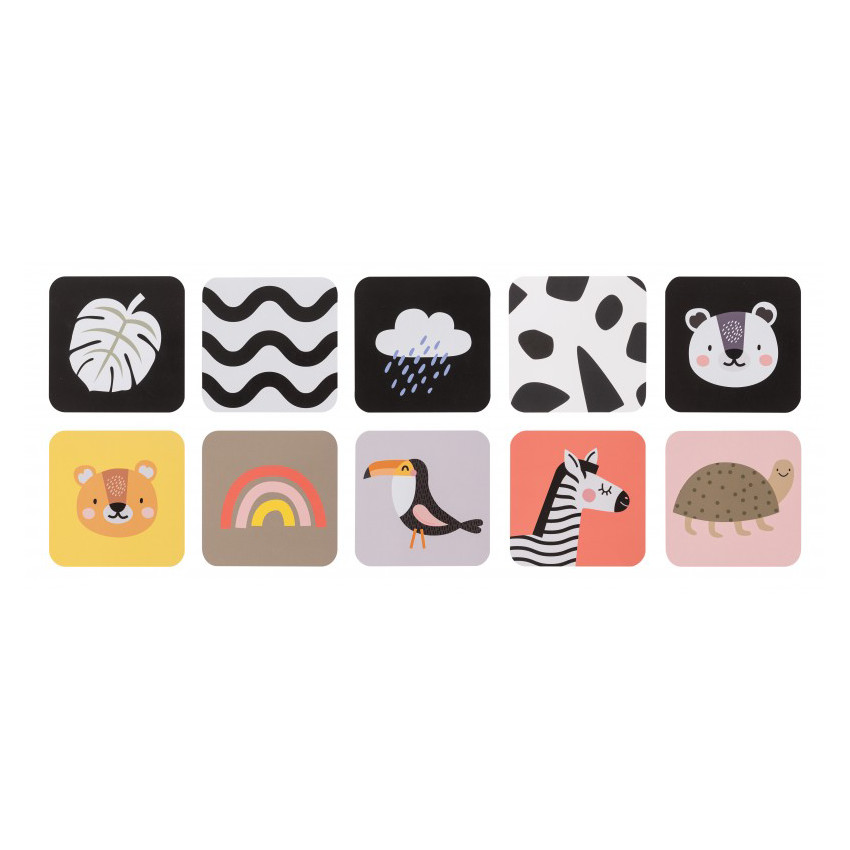 Παιδικα Παιχνιδια Αναπτυξεις Σε Συσκευασια Δωρου Newborn Develop & Play Kit 