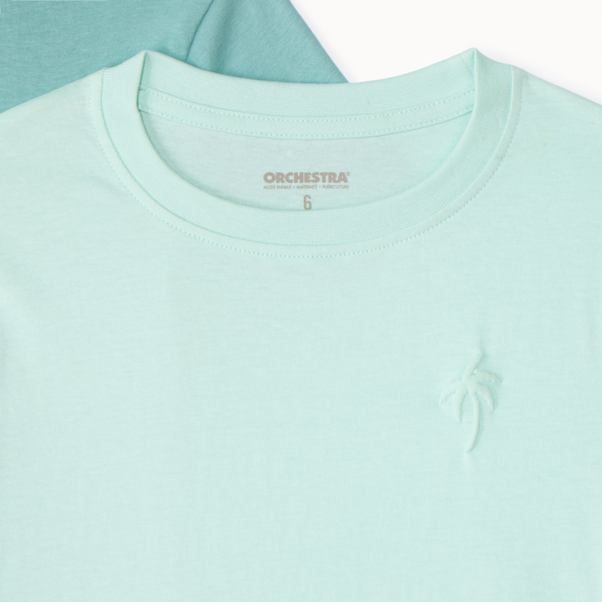 Σετ 3 μονόχρωμων κοντομάνικων μπλουζών με σχέδιο φοίνικα για αγόρι 