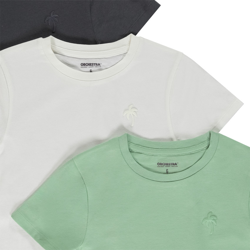 Σετ από 3 κοντομάνικα μπλουζάκια με puff print φοίνικα για αγόρι  Additional Σετ από 3 κοντομάνικα μπλουζάκια με puff print φοίνικα για αγόρι