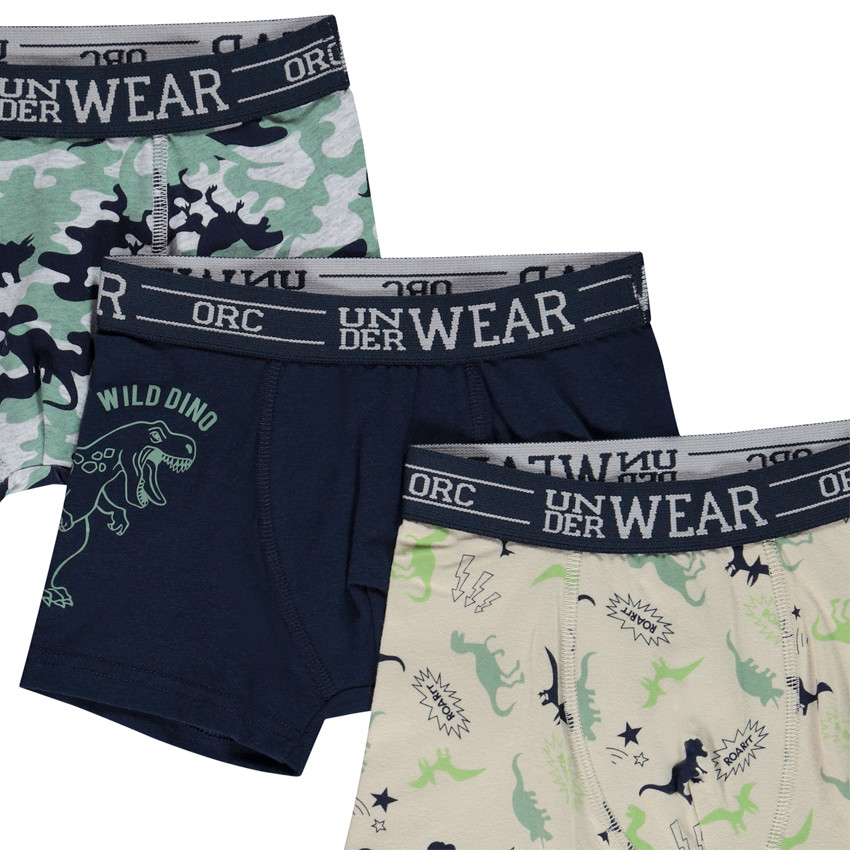 Σετ από 5 boxers με σχέδια Wild Dinos αγόρι 