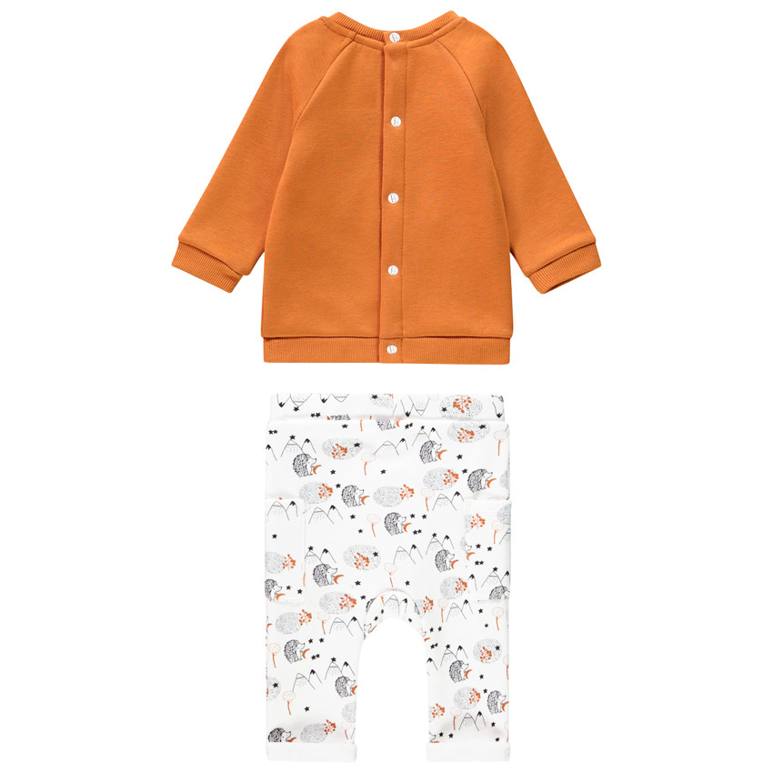 Σύνολο από πλεκτό με σχέδιο σκαντζόχοιροι για μωρό αγόρι 