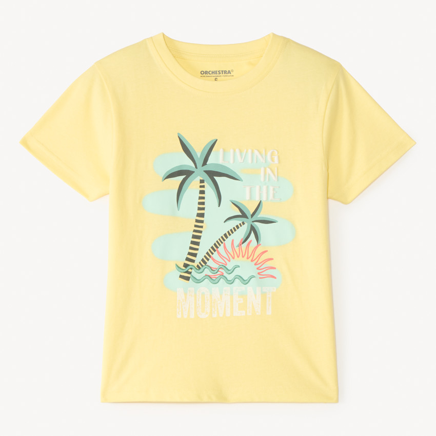 T-shirt με κοντά μανίκια με σχέδιο φοίνικα για αγόρι 