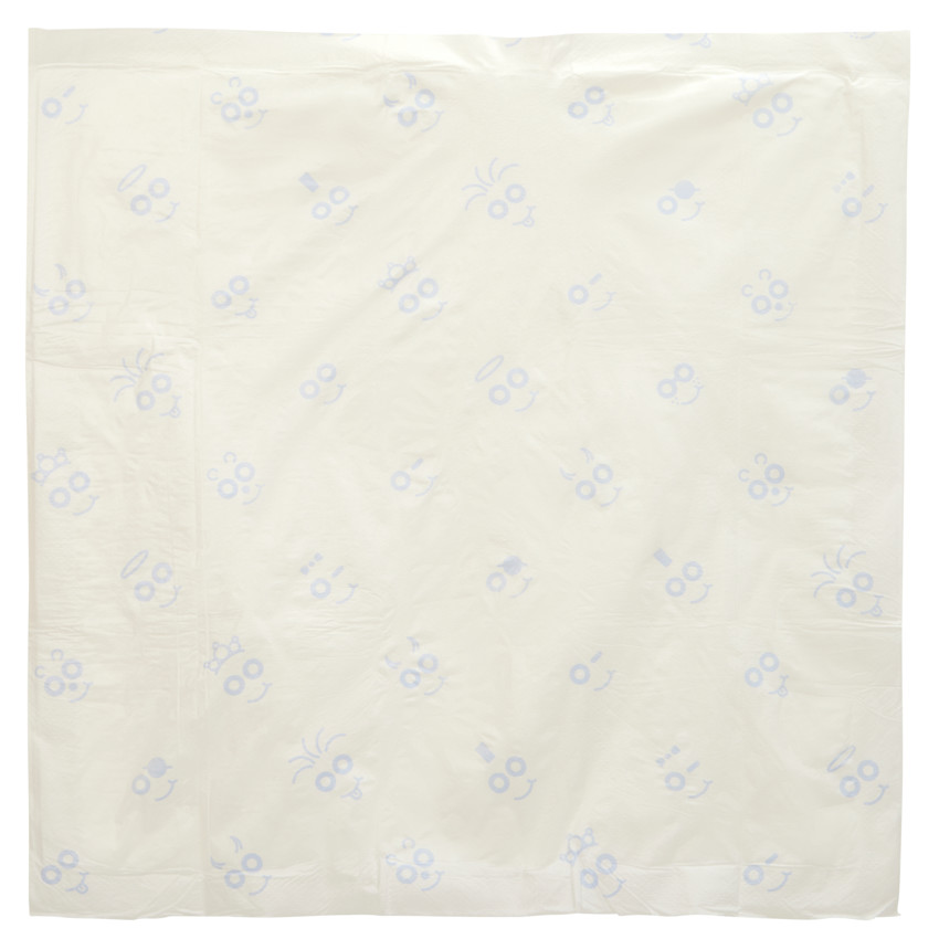 Σετ από 10 μίας χρήσης πάνες αλλαγής 60 x 60 cm 