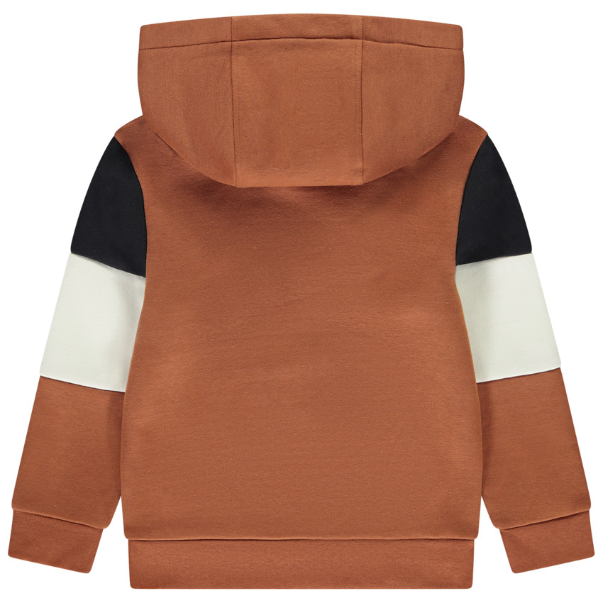 Φούτερ molleton με κουκούλα και εφέ color block για αγόρι 