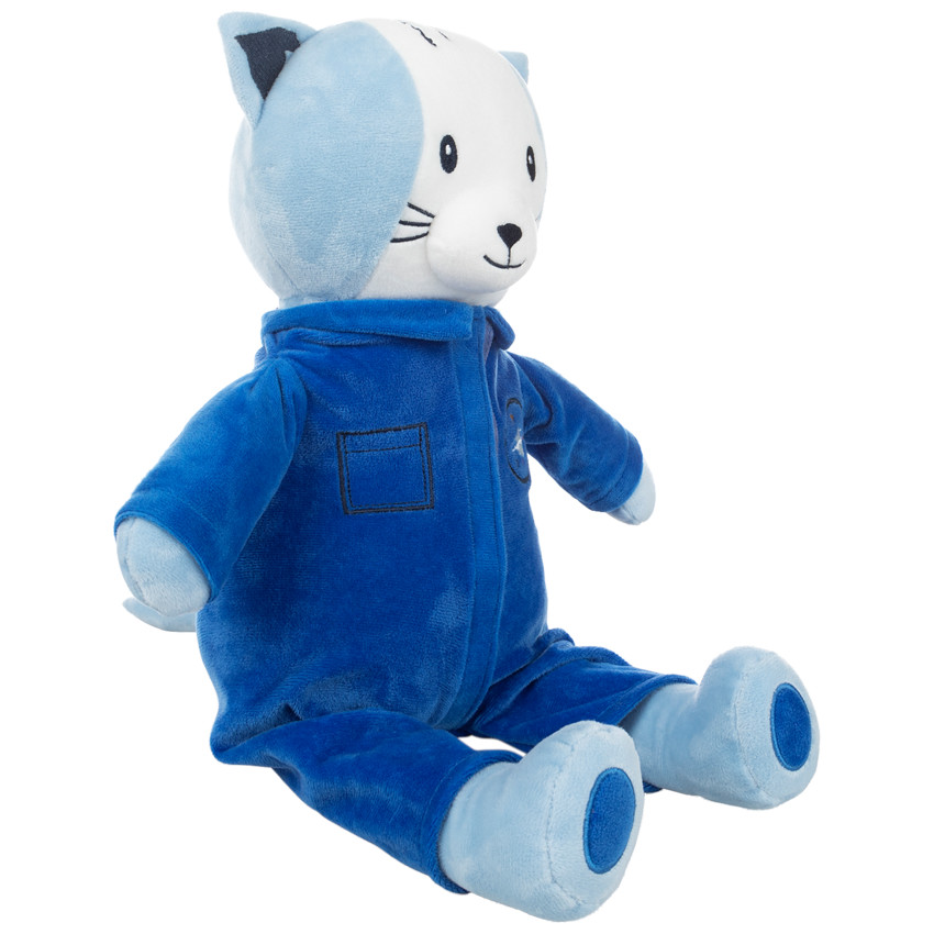 Γάτα αστροναύτης σε λούτρινο 