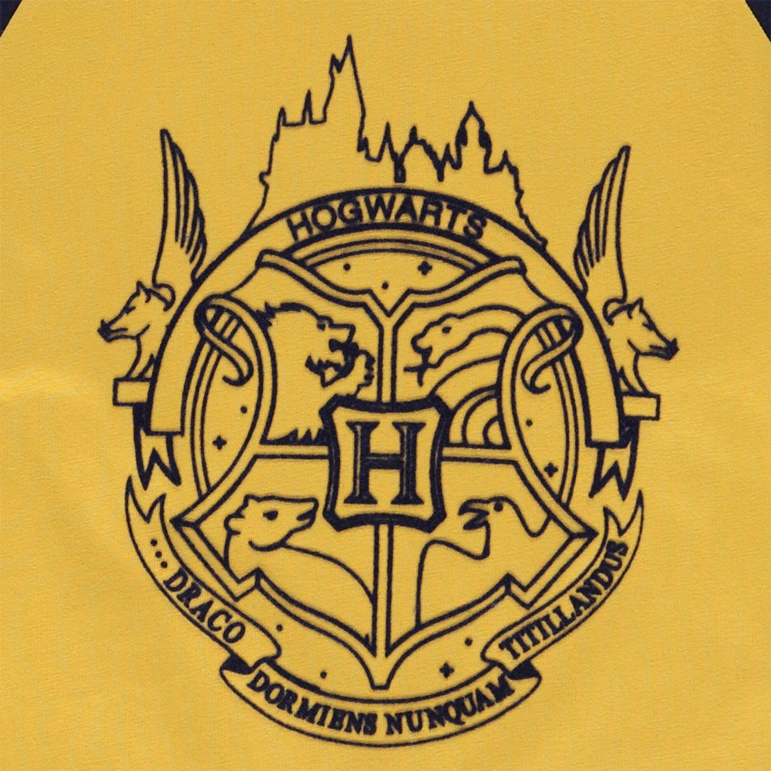 T-shirt μακρυμάνικo jersey με σχέδιο Harry Potter Warner Main T-shirt μακρυμάνικo jersey με σχέδιο Harry Potter Warner