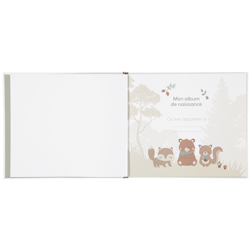 Άλμπουμ Γέννησης Βασιλιάς Του Δάσους 