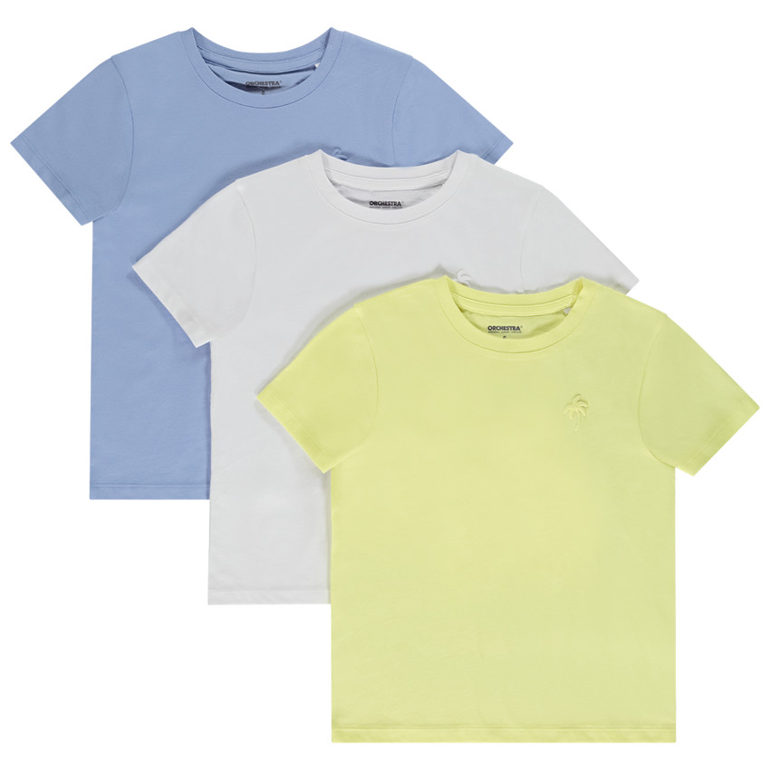 Σετ από 3 κοντομάνικα μπλουζάκια με puff print φοίνικα για αγόρι 