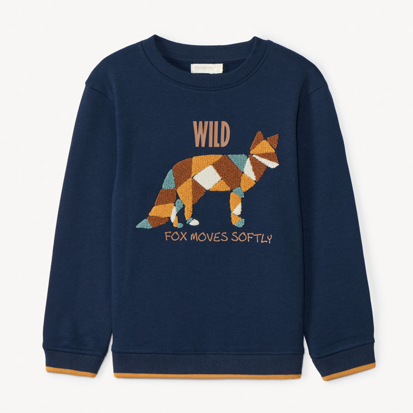 Sweat molleton avec broderie effet bouclette pour garçon  