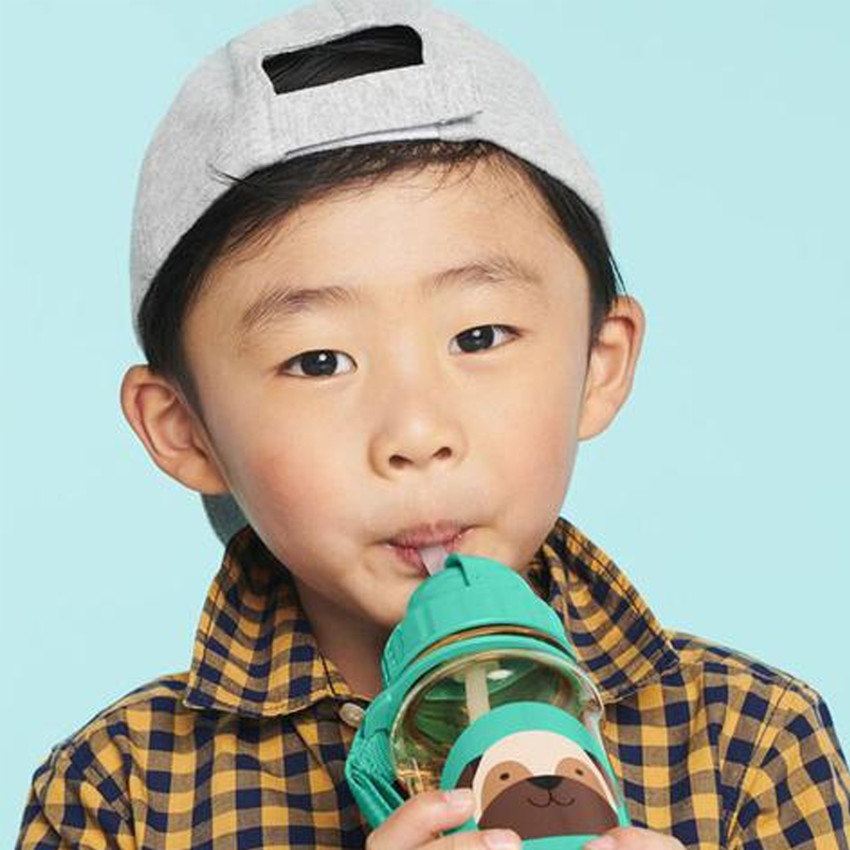 Πλαστικό Παγουρίνο με Καλαμάκι Pug - 384,5 ml Skip Hop Zoo 