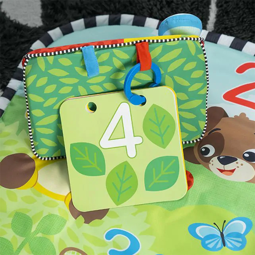 Discovery Garden χαλάκι δραστηριοτήτων & καθρέφτης BABY EINSTEIN  