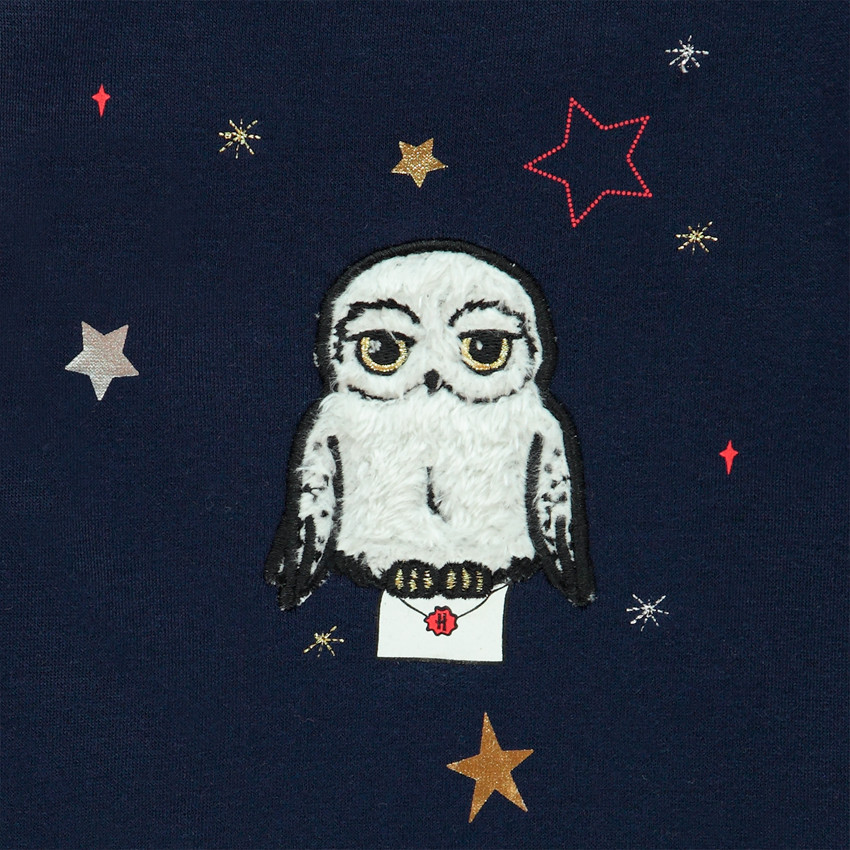 Φούτερ molleton με σχέδιο Hedwige Harry Potter για κορίτσι 