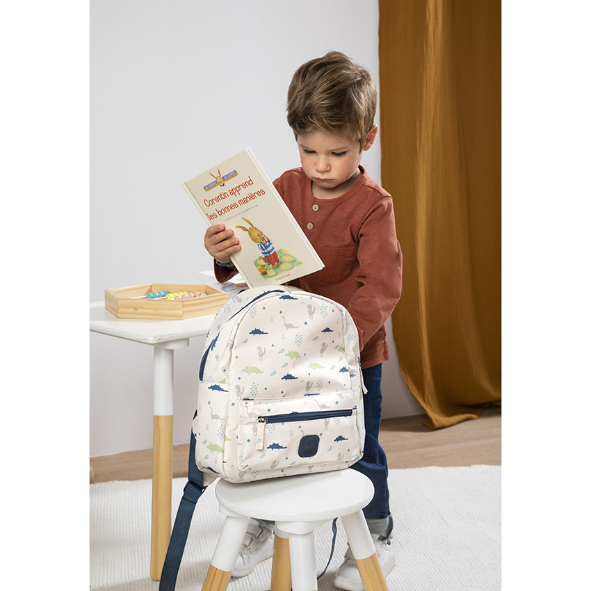 Σακίδιο ισοθερμικό με σχέδιο δεινοσαύρων 