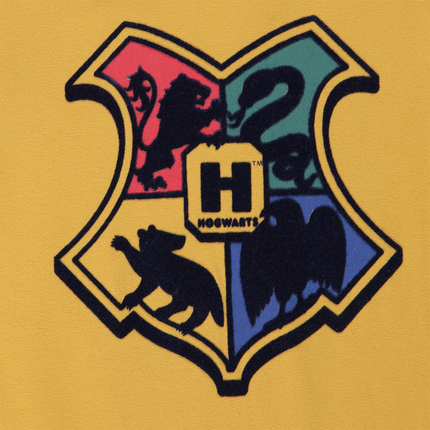 Sous-pull col roulé en jersey Harry Potter pour garçon Main Sous-pull col roulé en jersey Harry Potter pour garçon