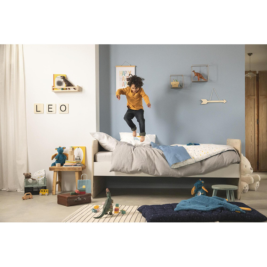 Προστατευτικό βιβλιαρίου υγείας Δεινόσαυροι φίλοι 