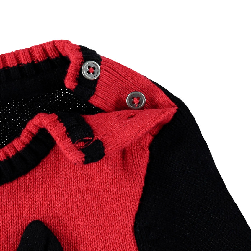 Pull en tricot à rayures motif raton laveur  