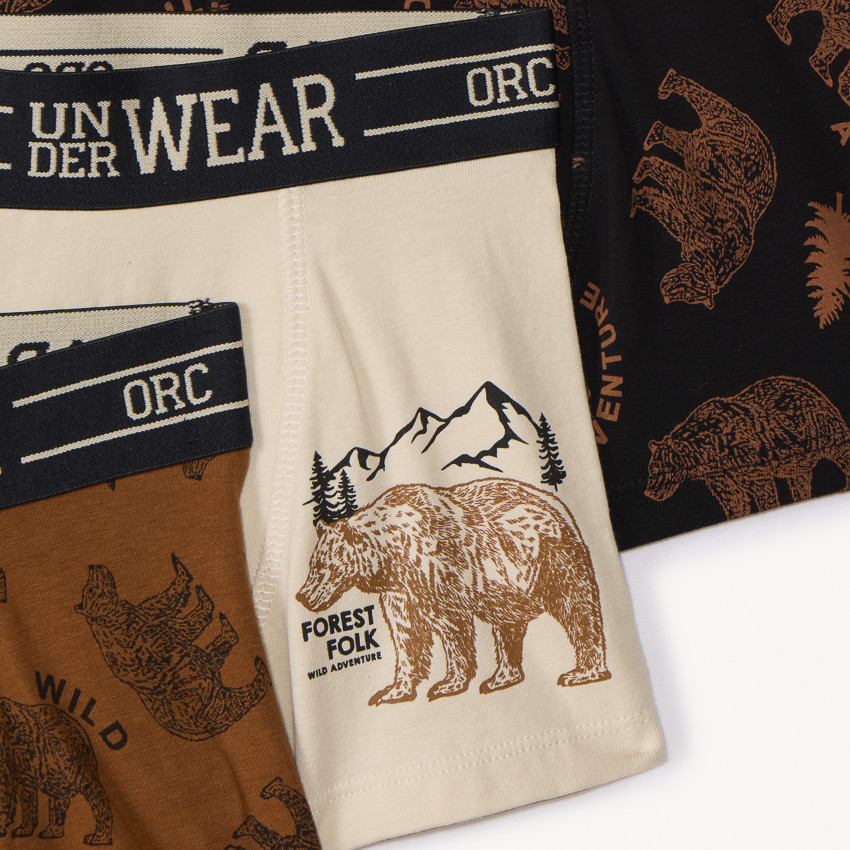 Lot de 5 boxers Bear fantaisie pour garçon  