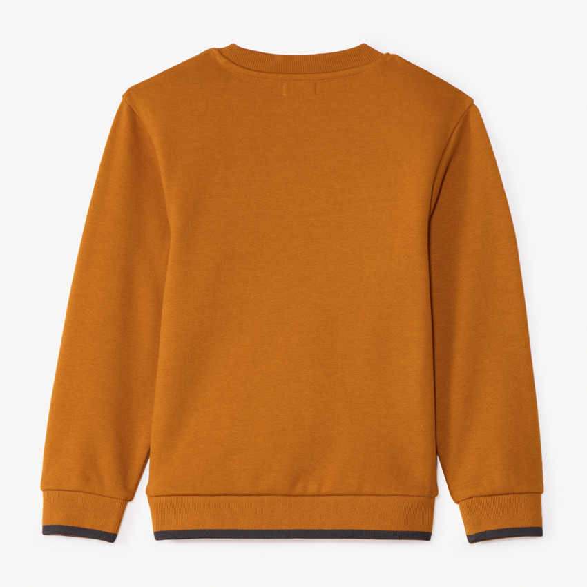 Sweat molleton avec animal surpiqué pour garçon 