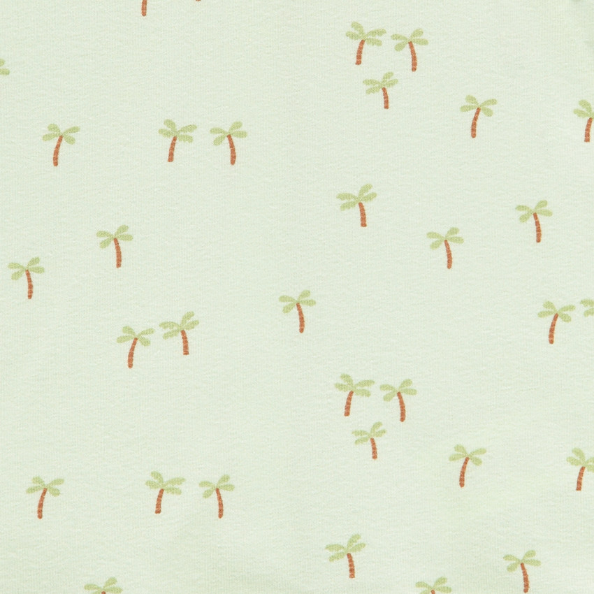 Σύνολο σαλόπετα + κοντομάνικο μπλουζάκι με σχέδιο φοίνικα για μωρό αγόρι 