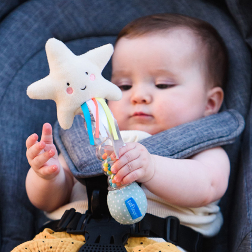 Κουδουνιστρα Star Rainstick TAF TOYS 