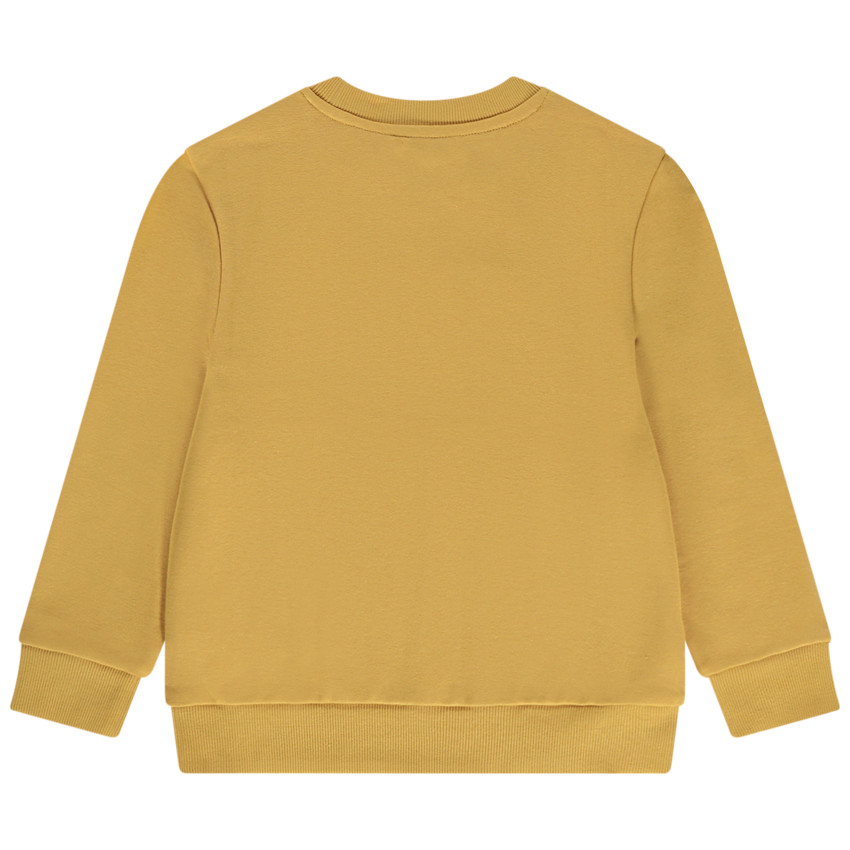 Φούτερ από molleton με κέντημα 3D για αγόρι 