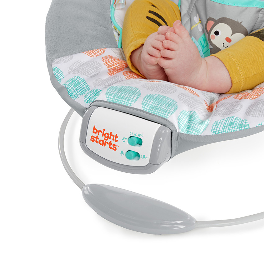  Άνετο Ριλάξ Bright Starts Whimsical Wild 