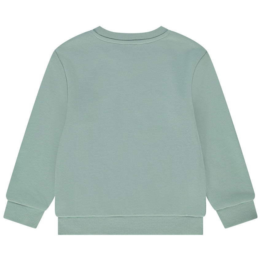 Φούτερ σε molleton μονόχρωμο με φαντεζί print για αγόρι 