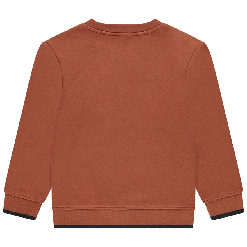 Φούτερ από φλις και βελουτέ + κέντημα για αγόρι 