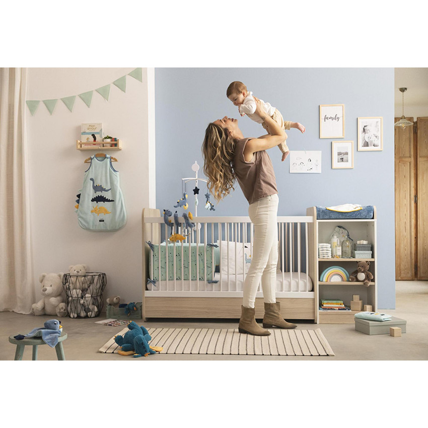 Προστατευτικό βιβλιαρίου υγείας Δεινόσαυροι φίλοι 