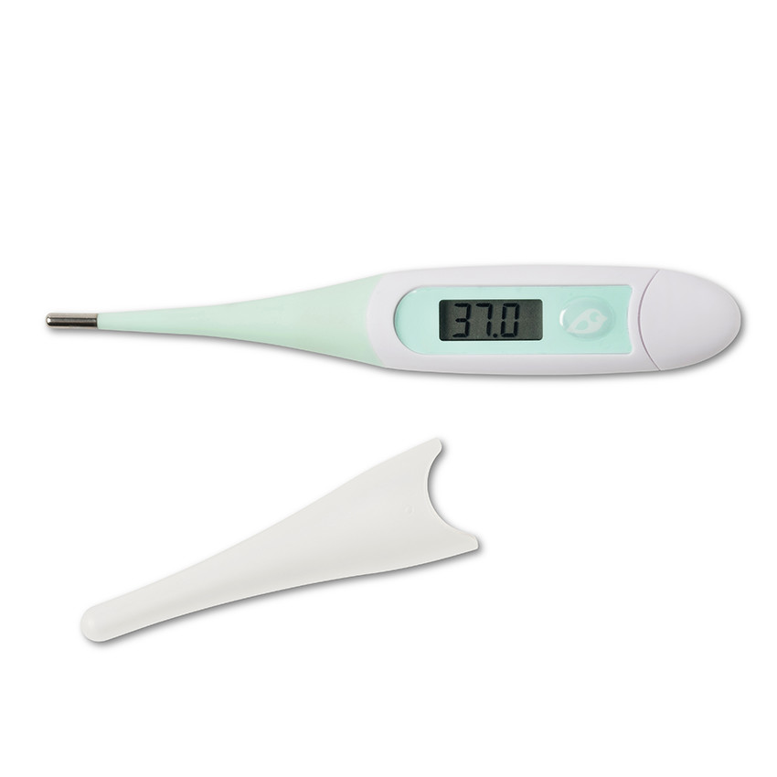 Ψηφιακό Θερμόμετρο Μέντα 