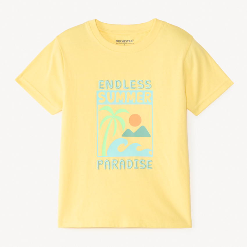 T-shirt à manches courtes uni avec impression et broderie estivale fantaisie pour garçon 