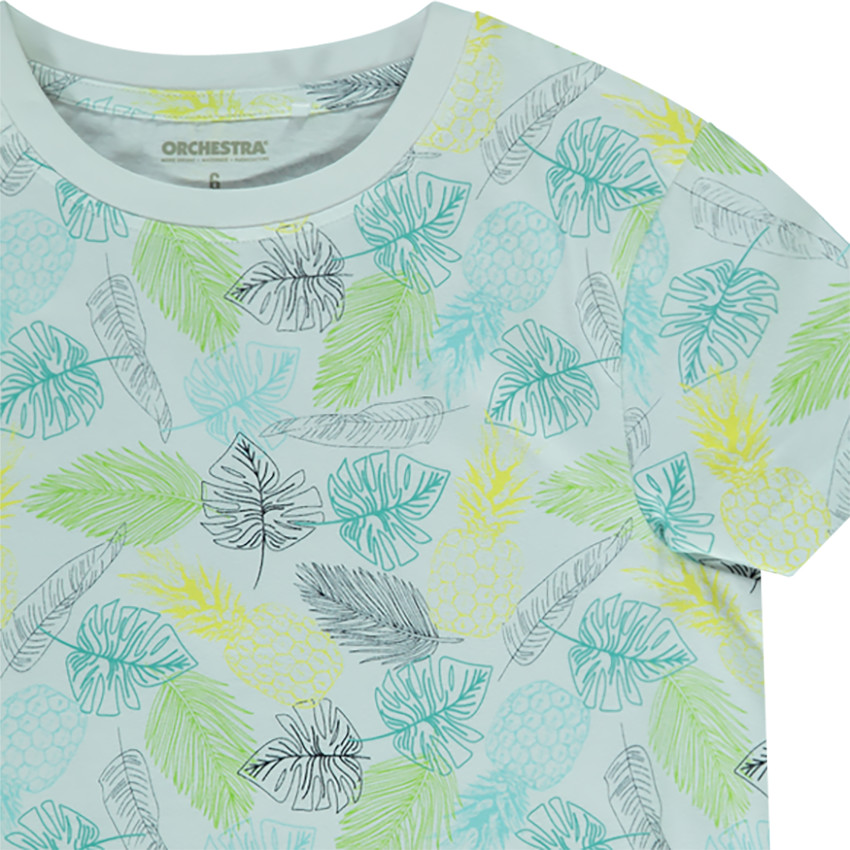 Ensemble de plage T-shirt et bermuda en jersey pour garçon 