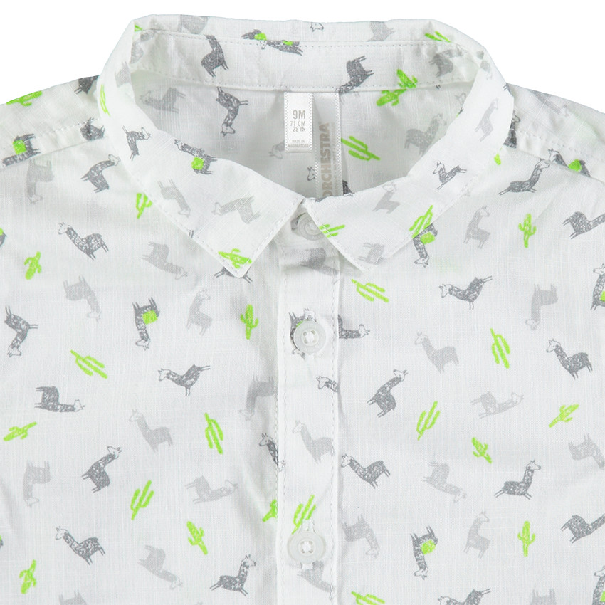 Σύνολο εμπριμέ πουκάμισο και μονόχρωμη σαλοπέτα 