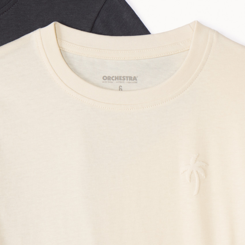 Σετ 3 μονόχρωμων κοντομάνικων μπλουζών με σχέδιο φοίνικα για αγόρι 